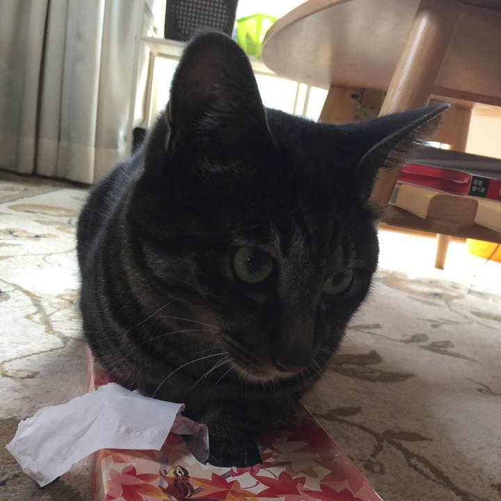 46b5df62 e8bf 4380 8b84 fa556debab6c