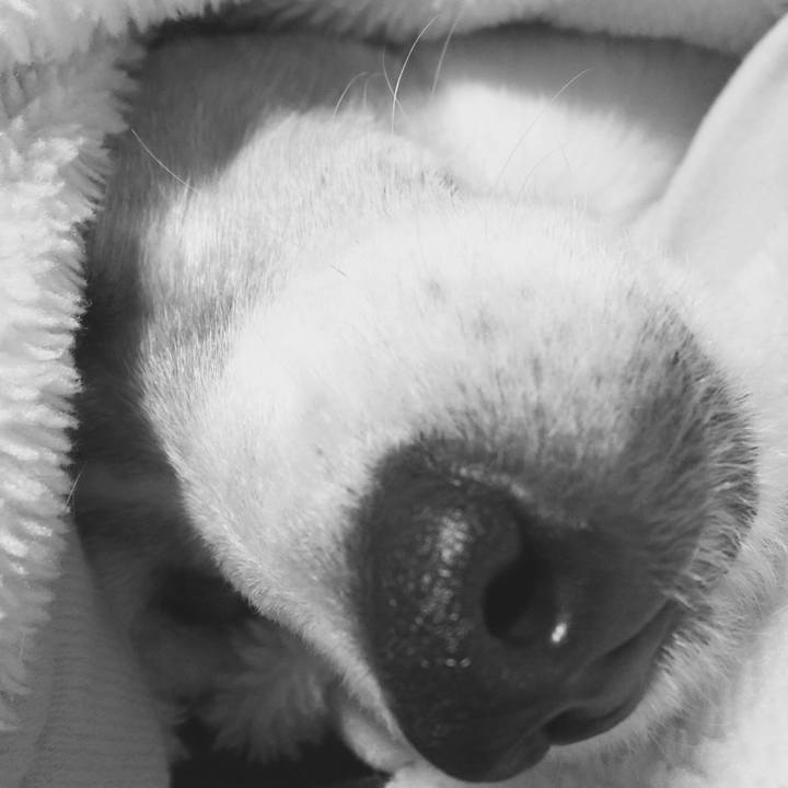 46b60999 651f 4fbc 858d 8ea85d7ba86c