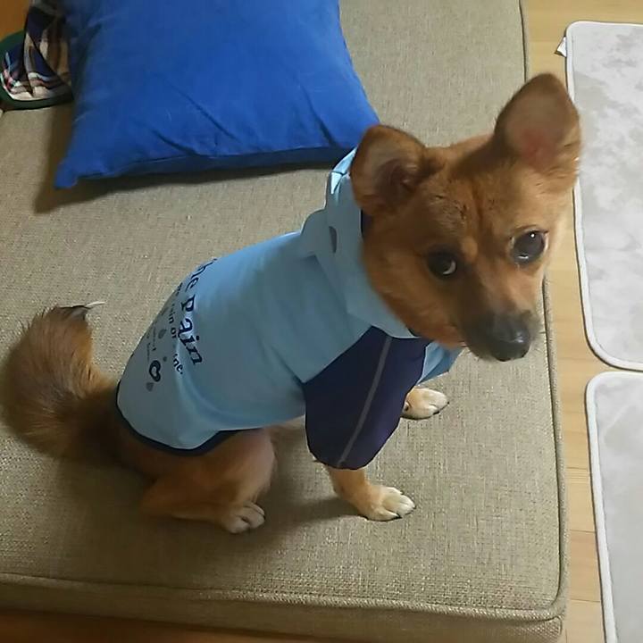 46b7bedd e963 4781 8139 89d6466c5f5e