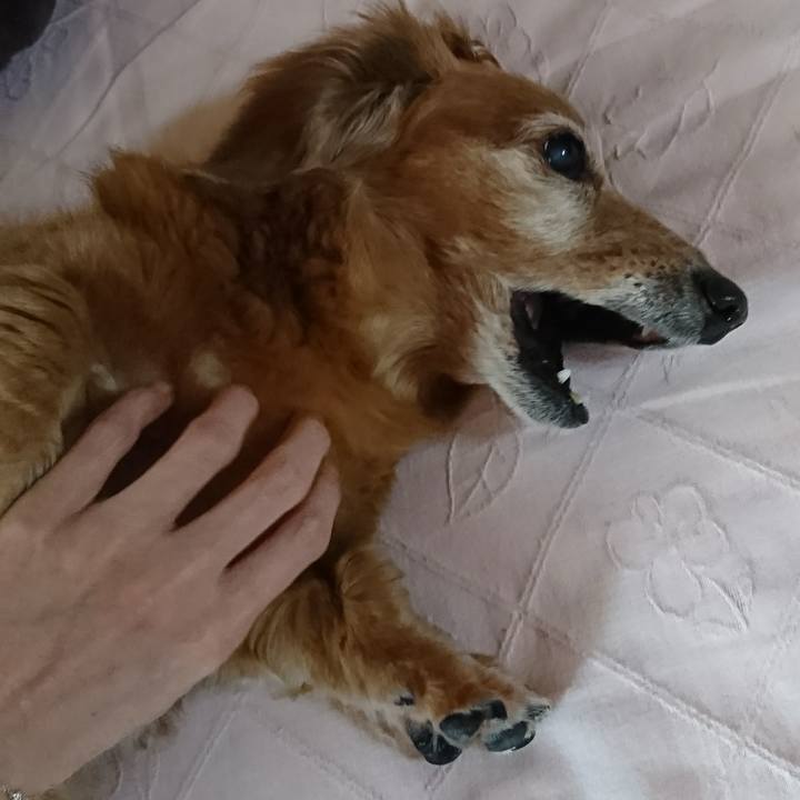 46b7e8f5 f4f3 44f2 8cc9 8f84a0c1fdd0