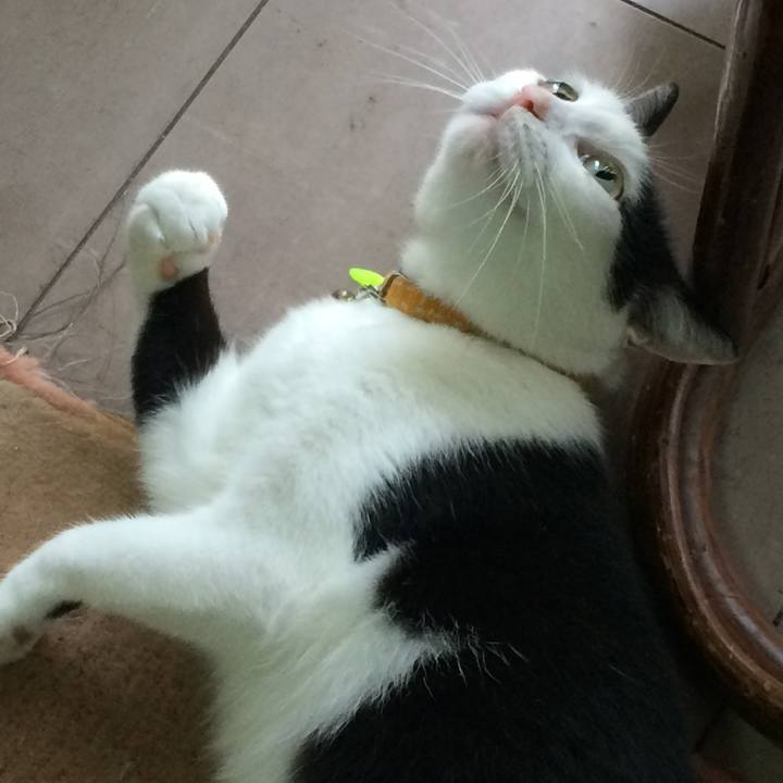 46b9b8f1 de3e 4b2d 8696 536571b11366