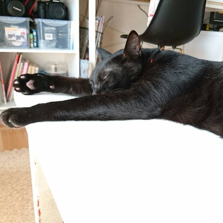 46ba4804 9e7f 4fbc b992 0295e1d50bc7