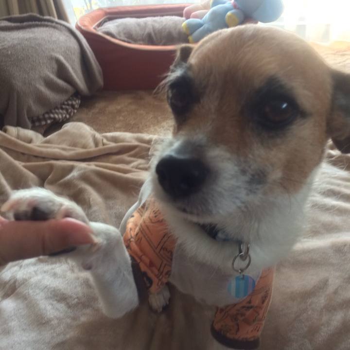 46bc92d9 1ea9 4f2a a3de 7dd796c7a4c8