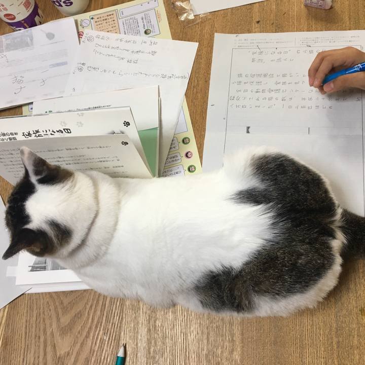 46bd237c 02d1 457e 93cd 6e13dcc010ac