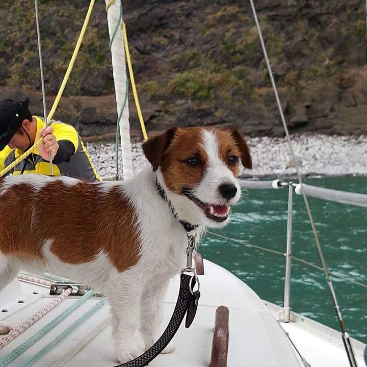 46bd4021 36fe 4a72 a946 e253b19ce1cc