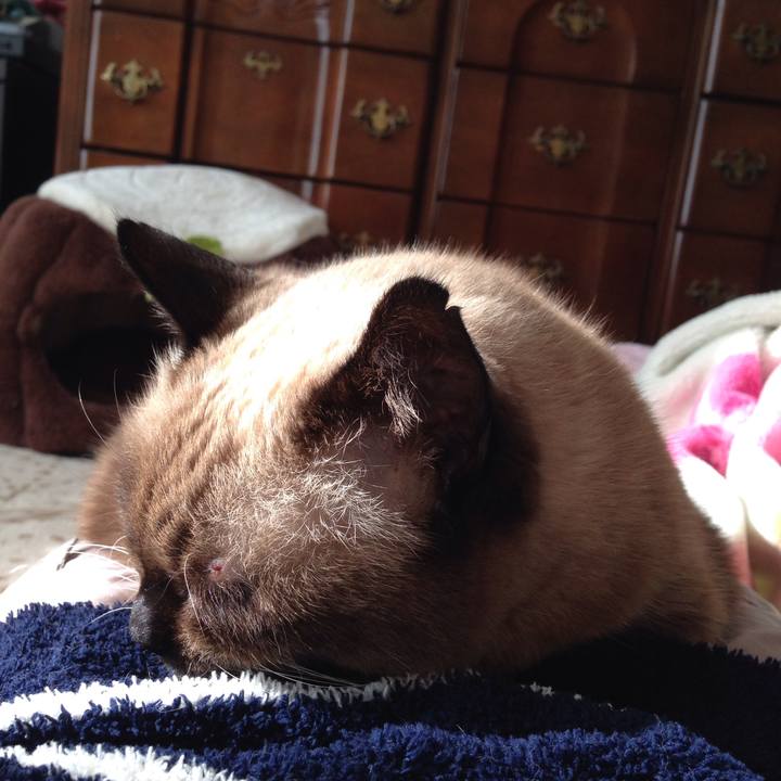 46bdf6e8 0911 443f 8852 214a29d08b5f