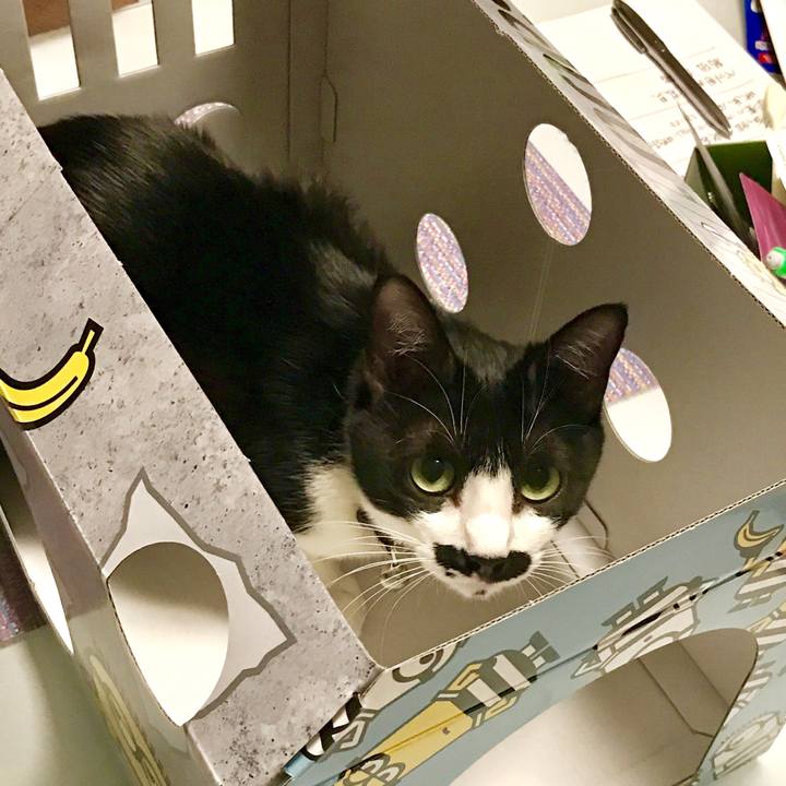 46be2fb3 307e 45db be0d ad3b78f66ff9