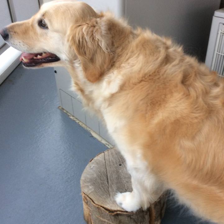 46be625b 61c8 43b7 ad22 3ed11326f0c8