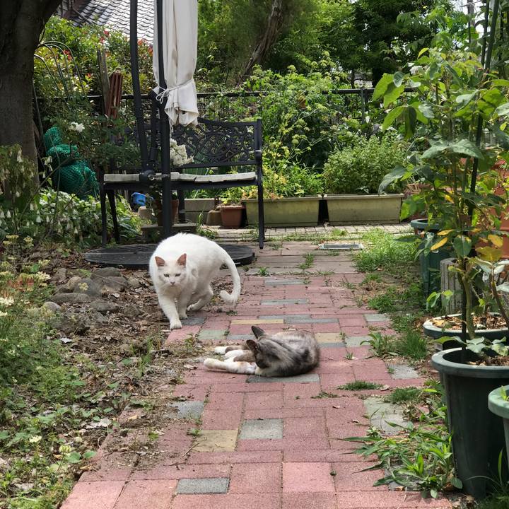 46be940e cc30 40bd a144 c9bce1622530