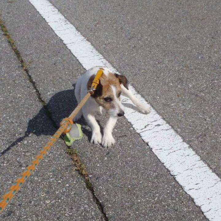 46be9e60 e9d2 4615 b2f2 95786177cee5