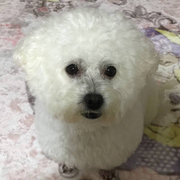 46bebbec 1aca 4012 a32d 3d66f284dbaf