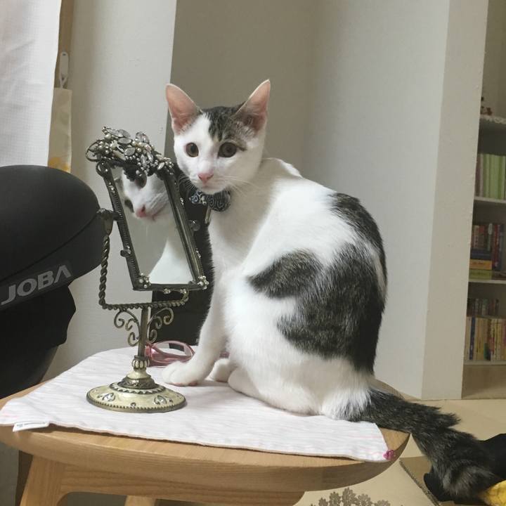 46bf475e f3d8 4b69 8b12 0f062b6a5582