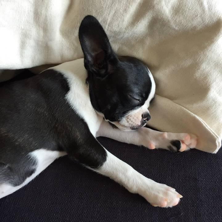 46bfac27 c476 4657 a476 be78268416a5