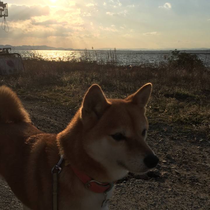 46c0b3e4 8e30 489f 8e02 54ce1201f88a