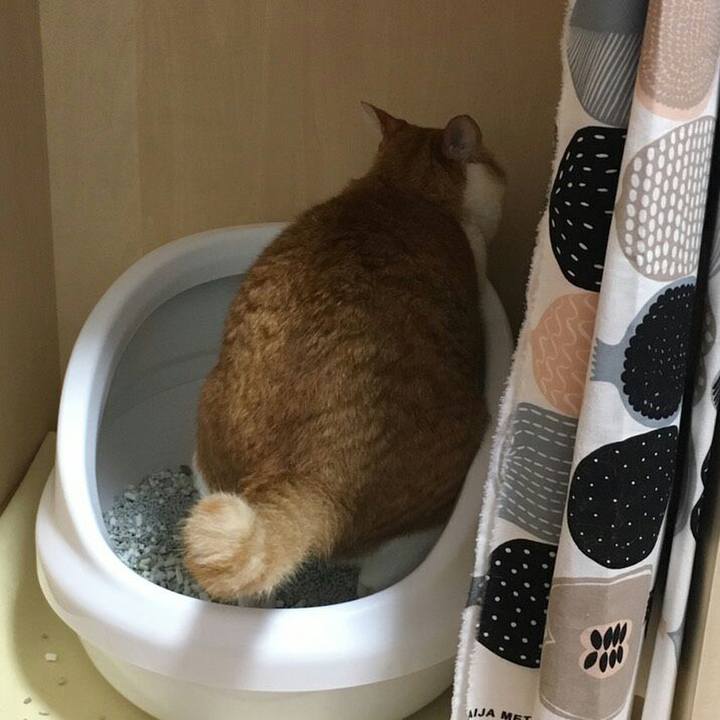 46c15f00 3df5 4b9a ab41 d2cfc1a7eb5a