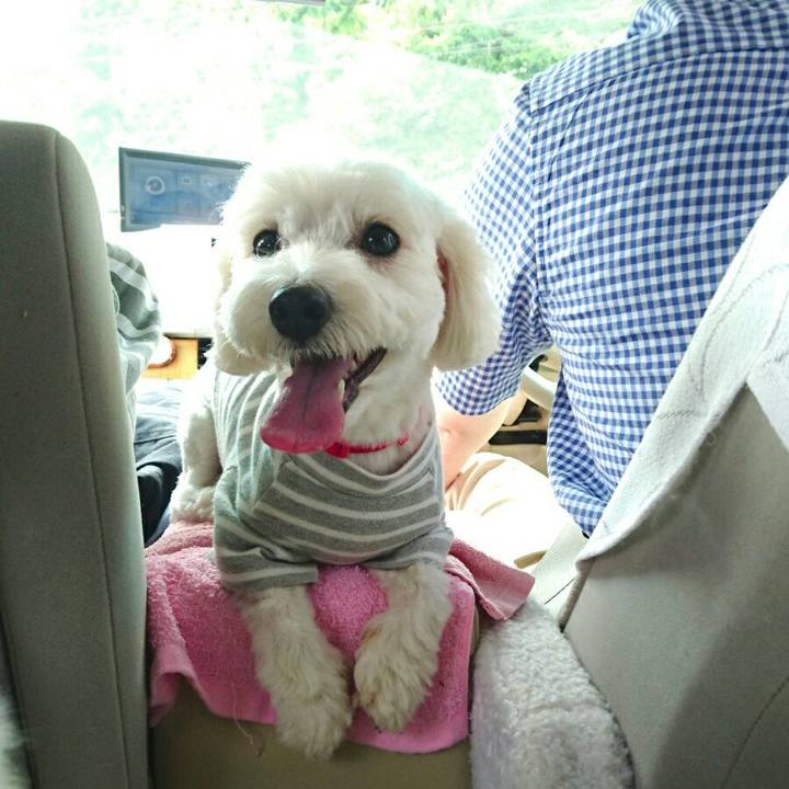 46c18185 2396 4e3e afbb af1a704d82fd