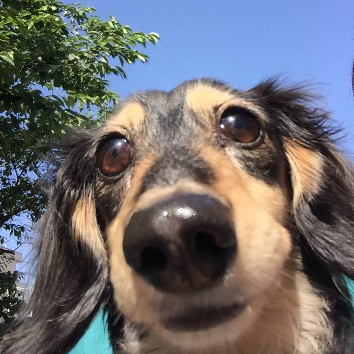 46c22881 67c8 40ec a44e 547eab1801e6