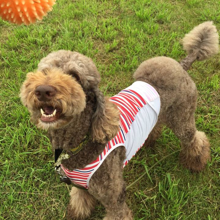 46c3081e a4f3 4412 8c80 86ed931aa18e