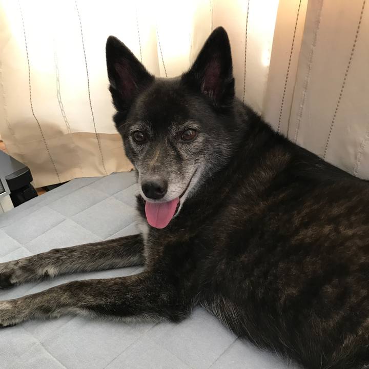 46c34663 cc09 4a30 870c a49f75b8c0c4