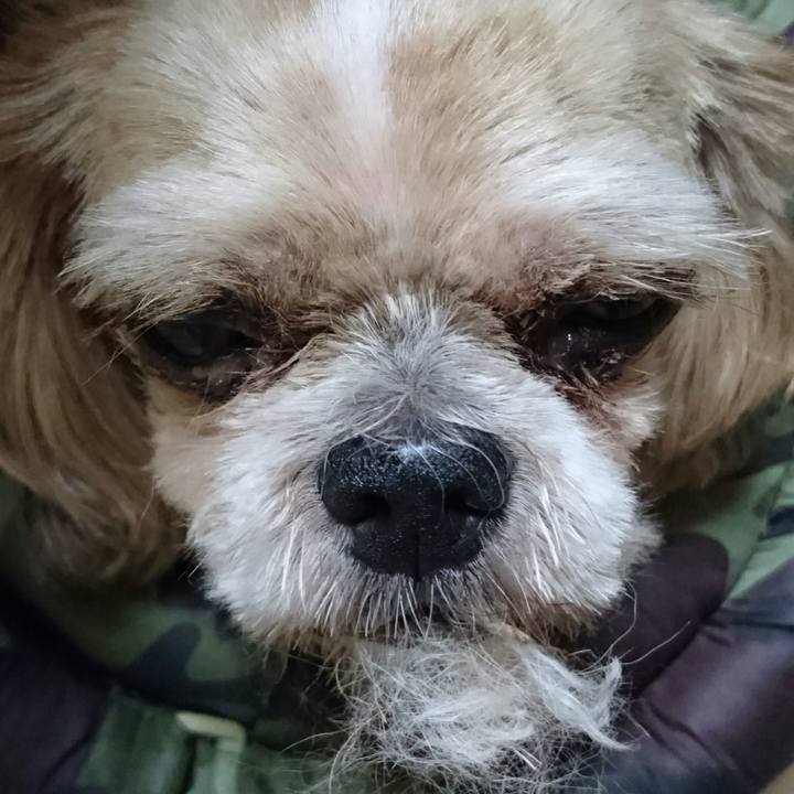 46c36042 5bea 4222 adca 0e313874ada4