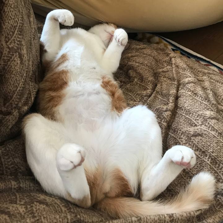 46c5221f dbf0 48be 8d21 7f5a33ae3116