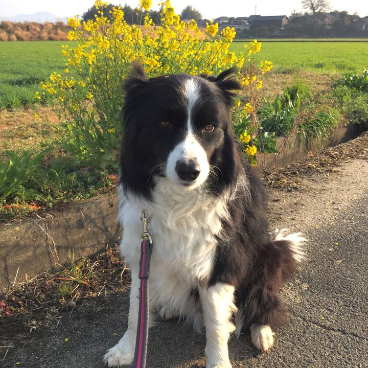 46c5cc17 1b86 4c0e b7ae 193f9c2c8a0a