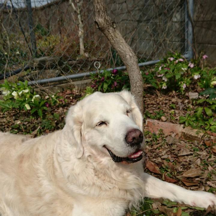 46c6d14c 693a 4c1b be08 1fb237781a18