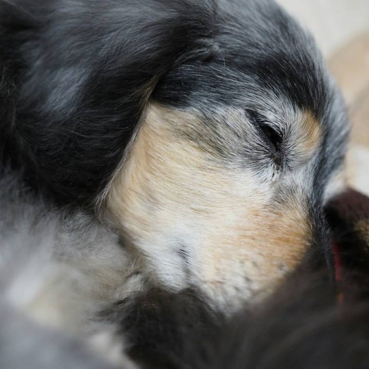 46c70b91 4cd2 4e30 a276 7a1a986853ed