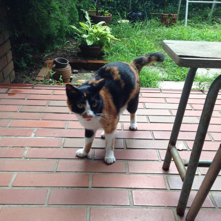 46c7c305 ddc1 4527 87e2 fff846dbab81