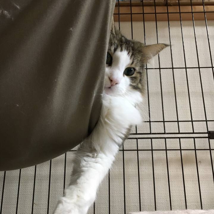 46c7ccab 3676 4731 88a0 0ee43408a37a