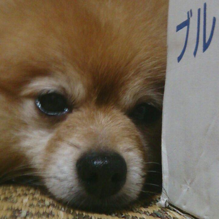 46c7f994 222f 4dcd 8b6f 16c5bb52d47d