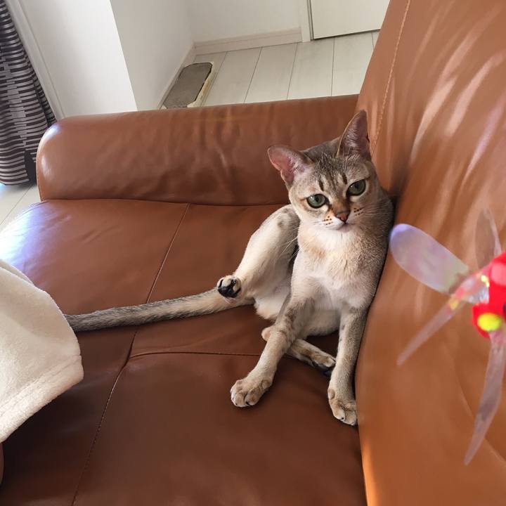 46c8ec14 2ba3 405d 953a 8e3bb7001393