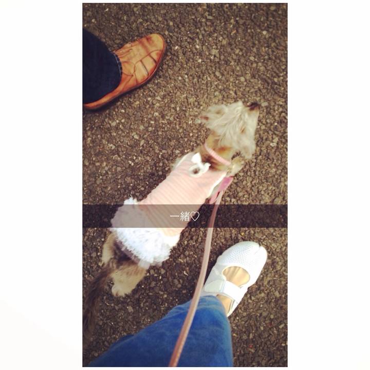 46c96d3f 68a7 4e9c 95bc 40eab52cd899