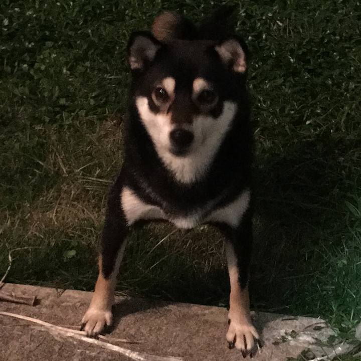 46c9f903 d540 47f0 a7a7 d54d5871f1e2