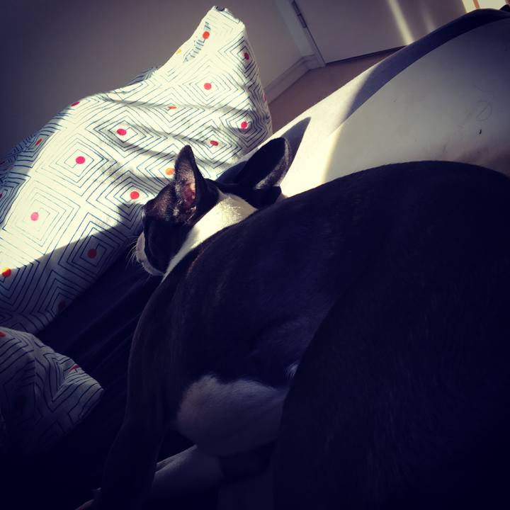 46ca6b9e 30dd 436c ad6e 5b5b29898160