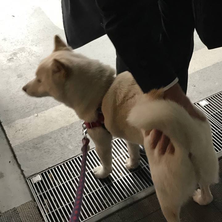 46cb0739 c81b 43b1 8b81 2458513506b4