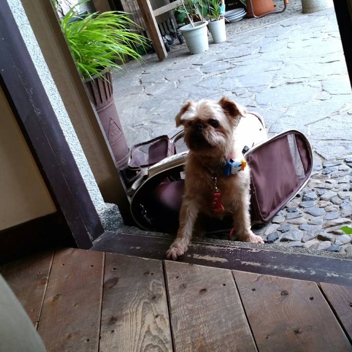 46cbb30e d9bf 43f5 9114 efc39be58376