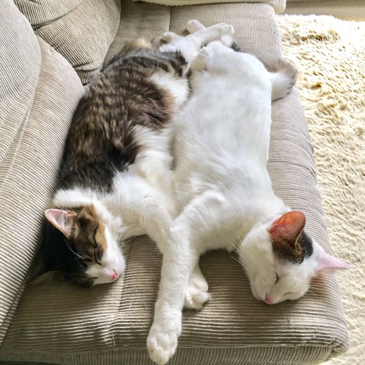 46cbd1ad 7fd0 4310 bed7 983a2693e7c4