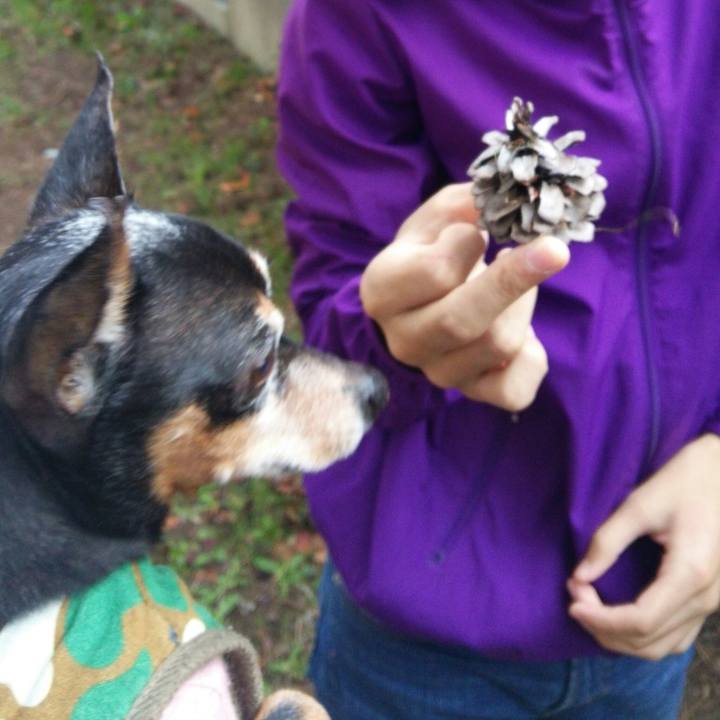 46cc3664 b18f 4065 98ab 805ef033f6ee