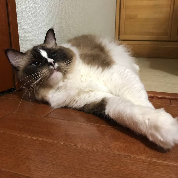 46cc3a04 cfe1 432e a3ad 3dbae2a762fc