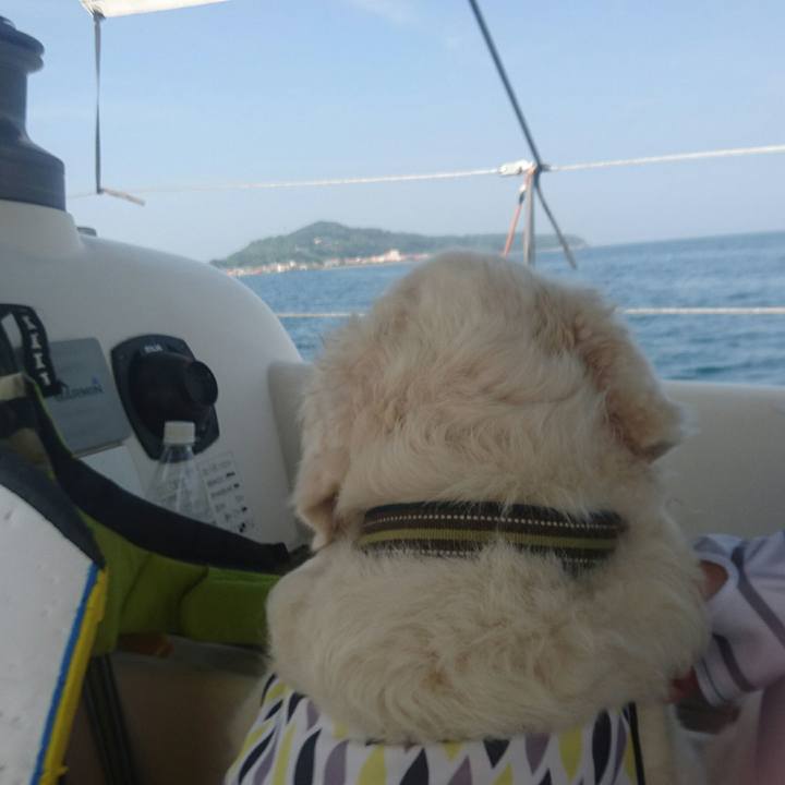 46cc6109 77c9 445a 8c37 ba5a4cd7e943