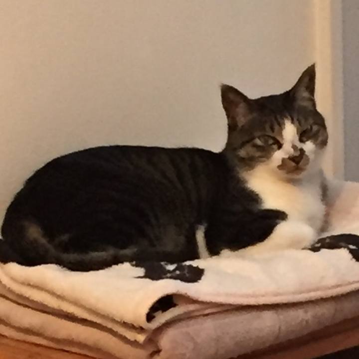 46ccd1be 346f 48b3 81c7 6ba1b4b7a3b0