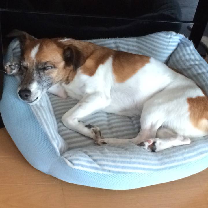 46ccf365 4206 42c7 97c4 7780f6a56b92