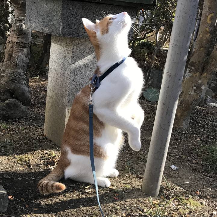 46cd3886 6c22 4d65 805f 219b756a1d69