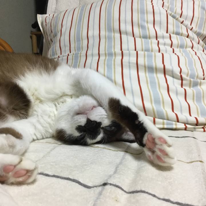 46ce05a8 e4f5 44da 9835 19f3aa2b20d6