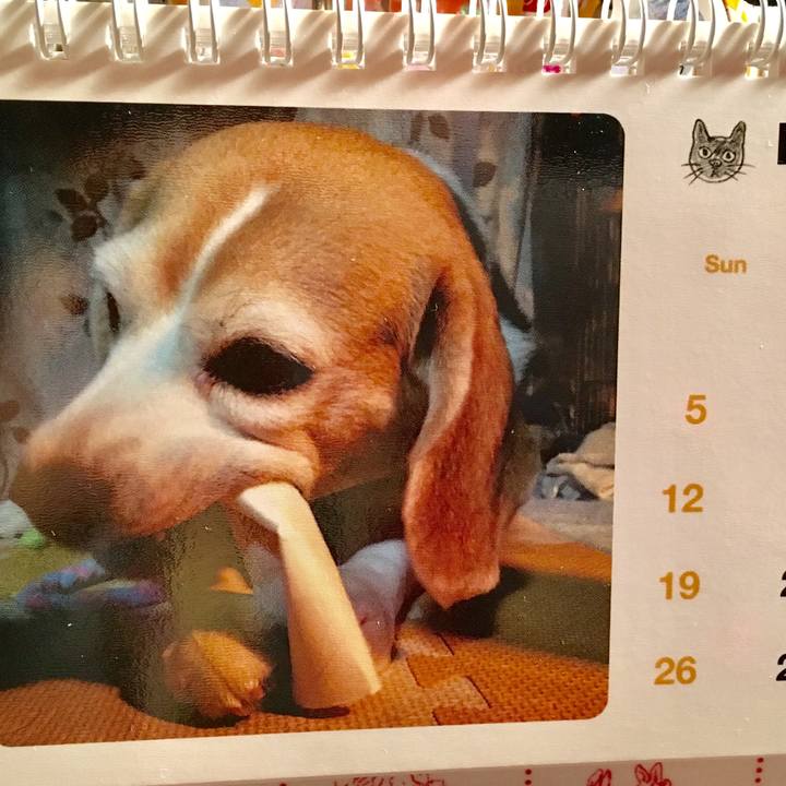 46ce7725 2b3d 4b54 b17a 74950c74fd77