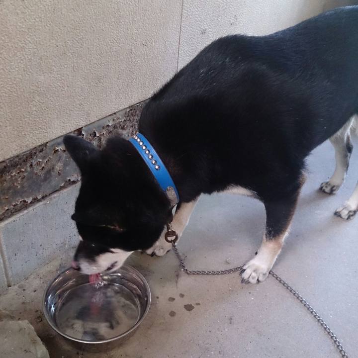 46ced902 88be 4f7f b644 a4d9caa13fff