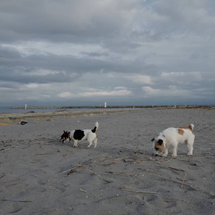 46cef261 ee99 4772 9980 3a8b96829db7