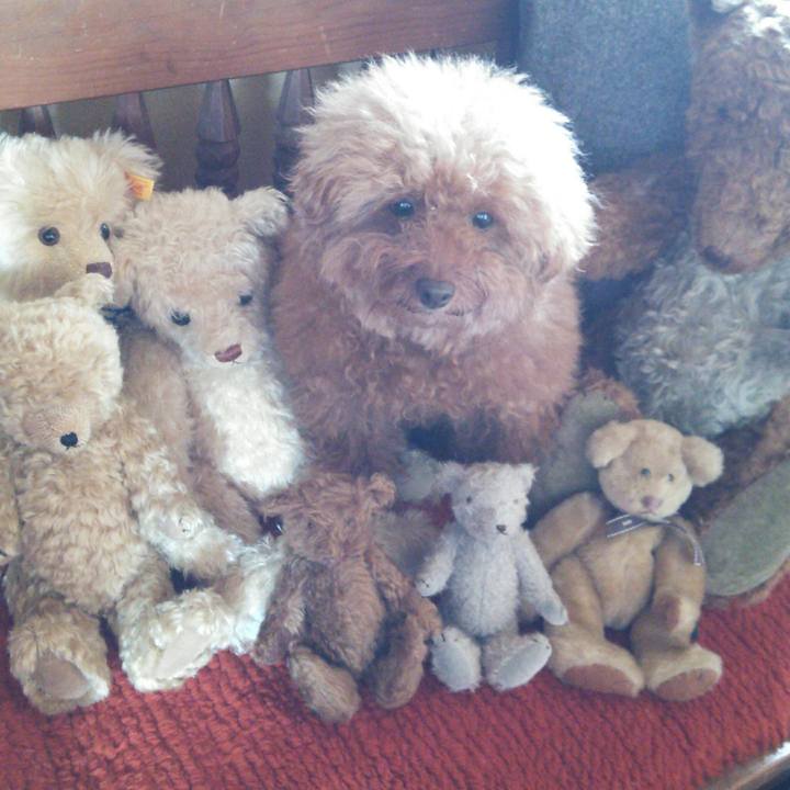 46cf2213 b81f 47cc a54c 83f82d4bbf58