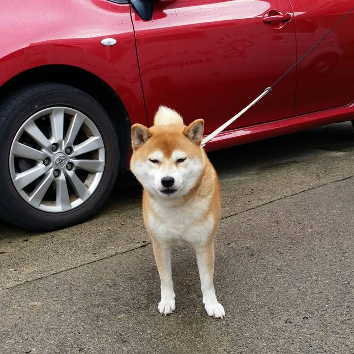 46d04241 44c1 4e47 be8d 0024fbd25cc0